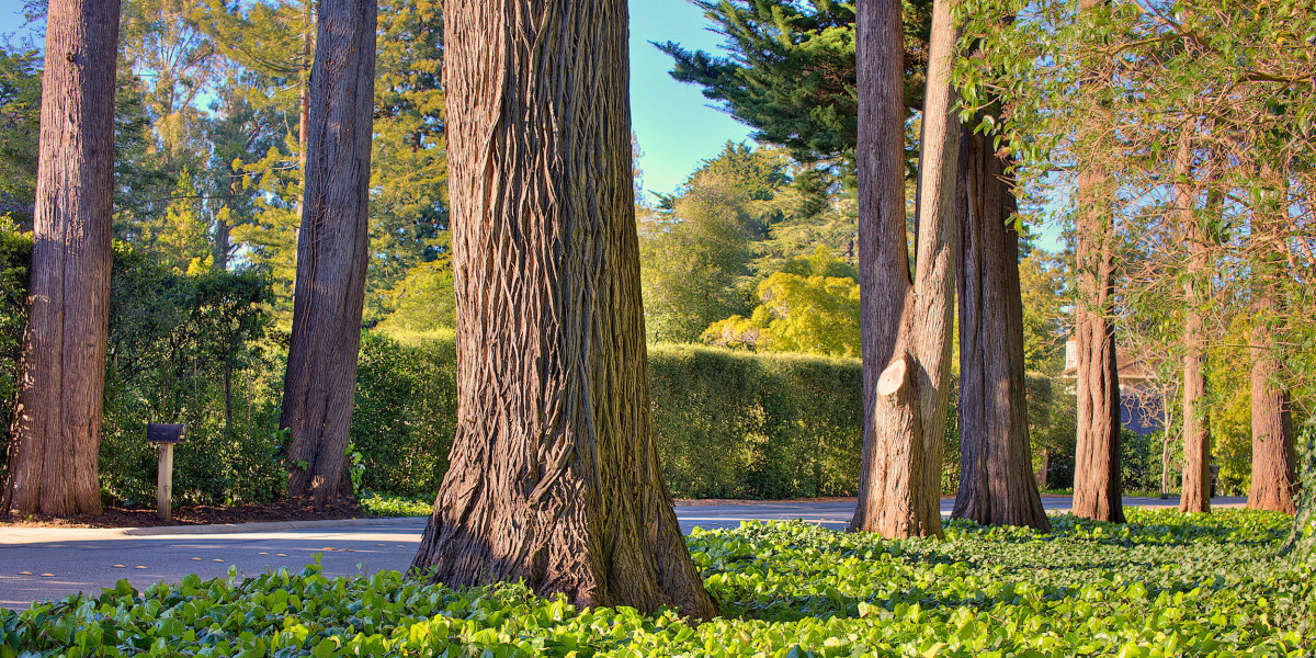 Utilities in San Mateo County Burlingame Properties